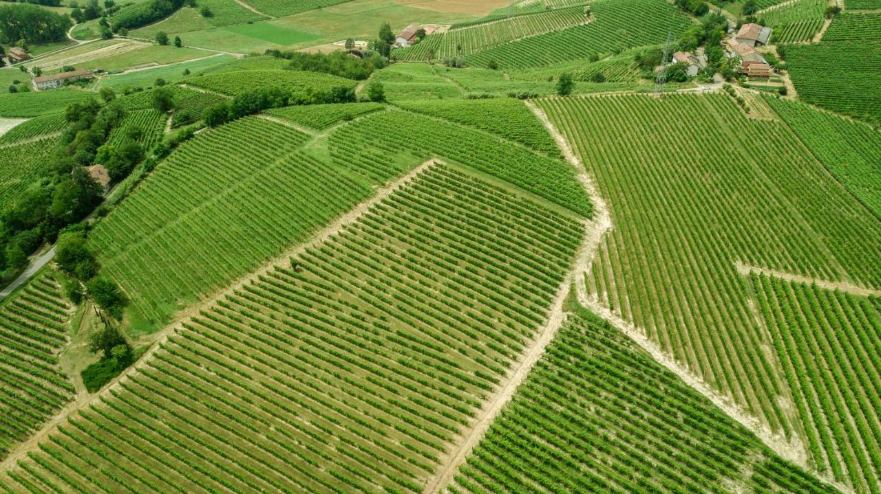 Agriturismo Relais "Il Bricco" Nizza Monferrato Extérieur photo