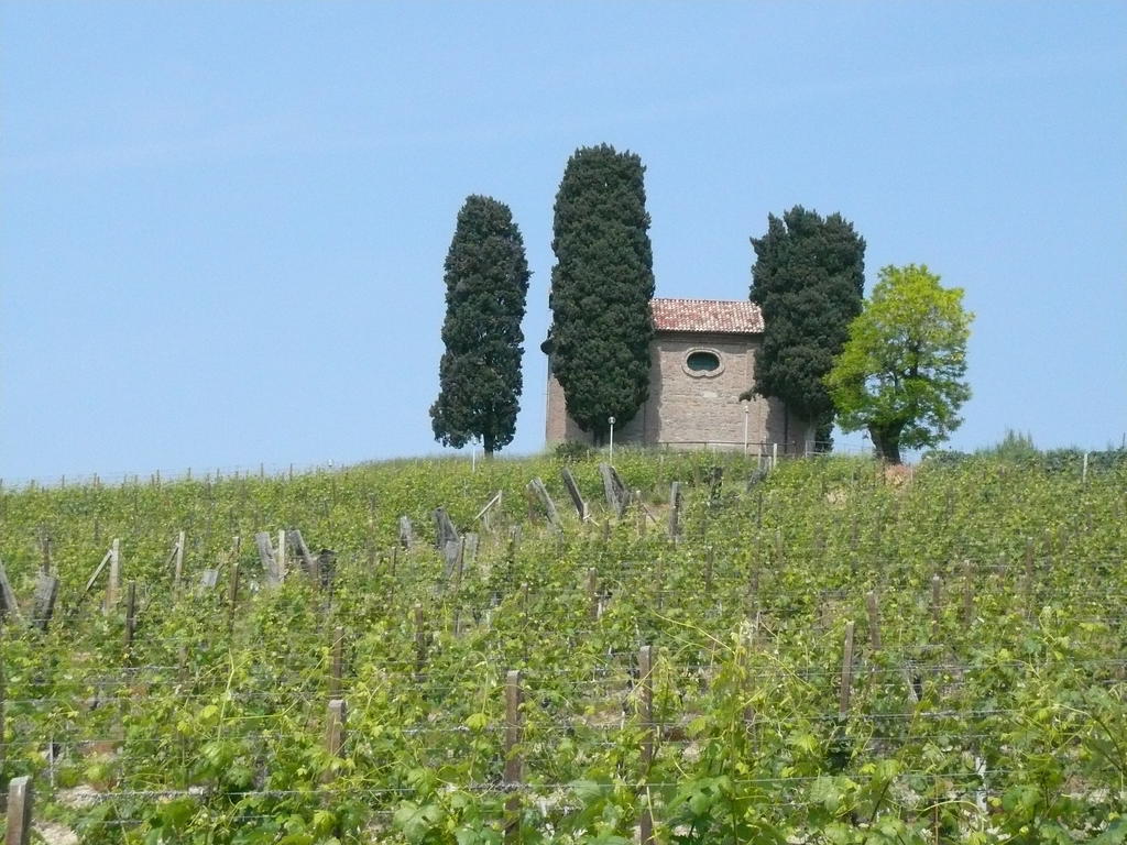 Agriturismo Relais "Il Bricco" Nizza Monferrato Extérieur photo