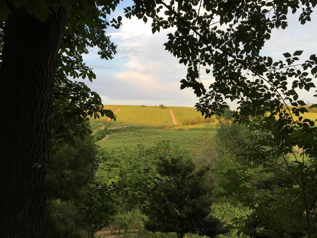 Agriturismo Relais "Il Bricco" Nizza Monferrato Extérieur photo