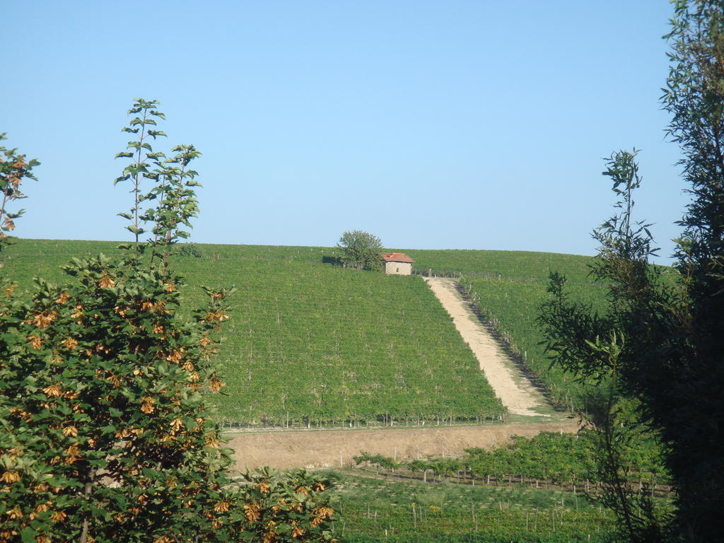 Agriturismo Relais "Il Bricco" Nizza Monferrato Extérieur photo