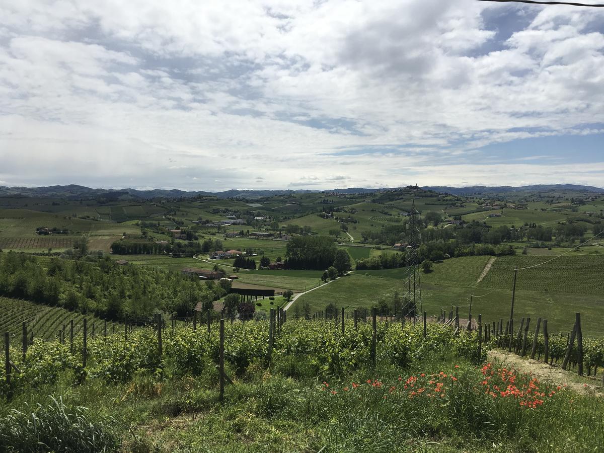 Agriturismo Relais "Il Bricco" Nizza Monferrato Extérieur photo
